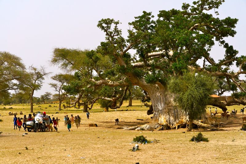 Senegal